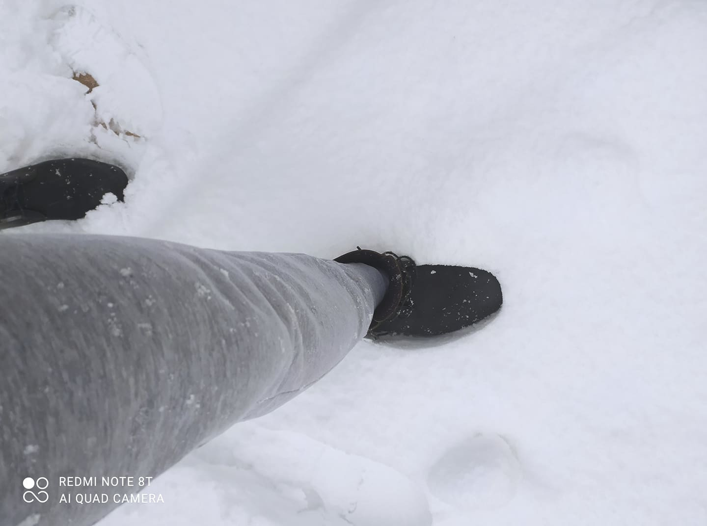 NOW SNOW 4.jpg