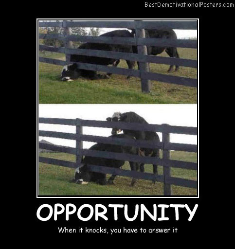 Opportunity-When-It-Knocks-Best-Demotivational-Posters.jpg