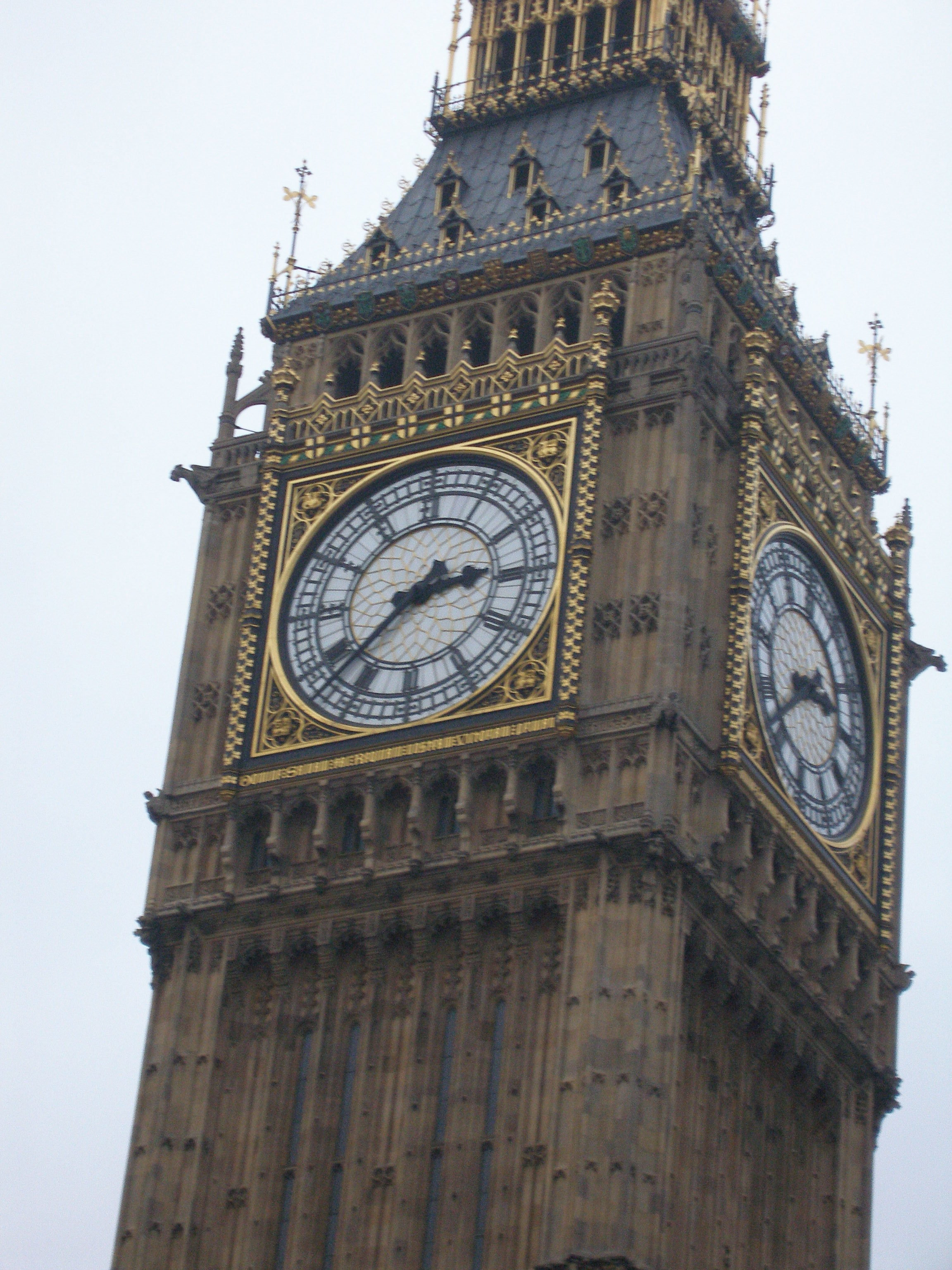 P1010279.JPG