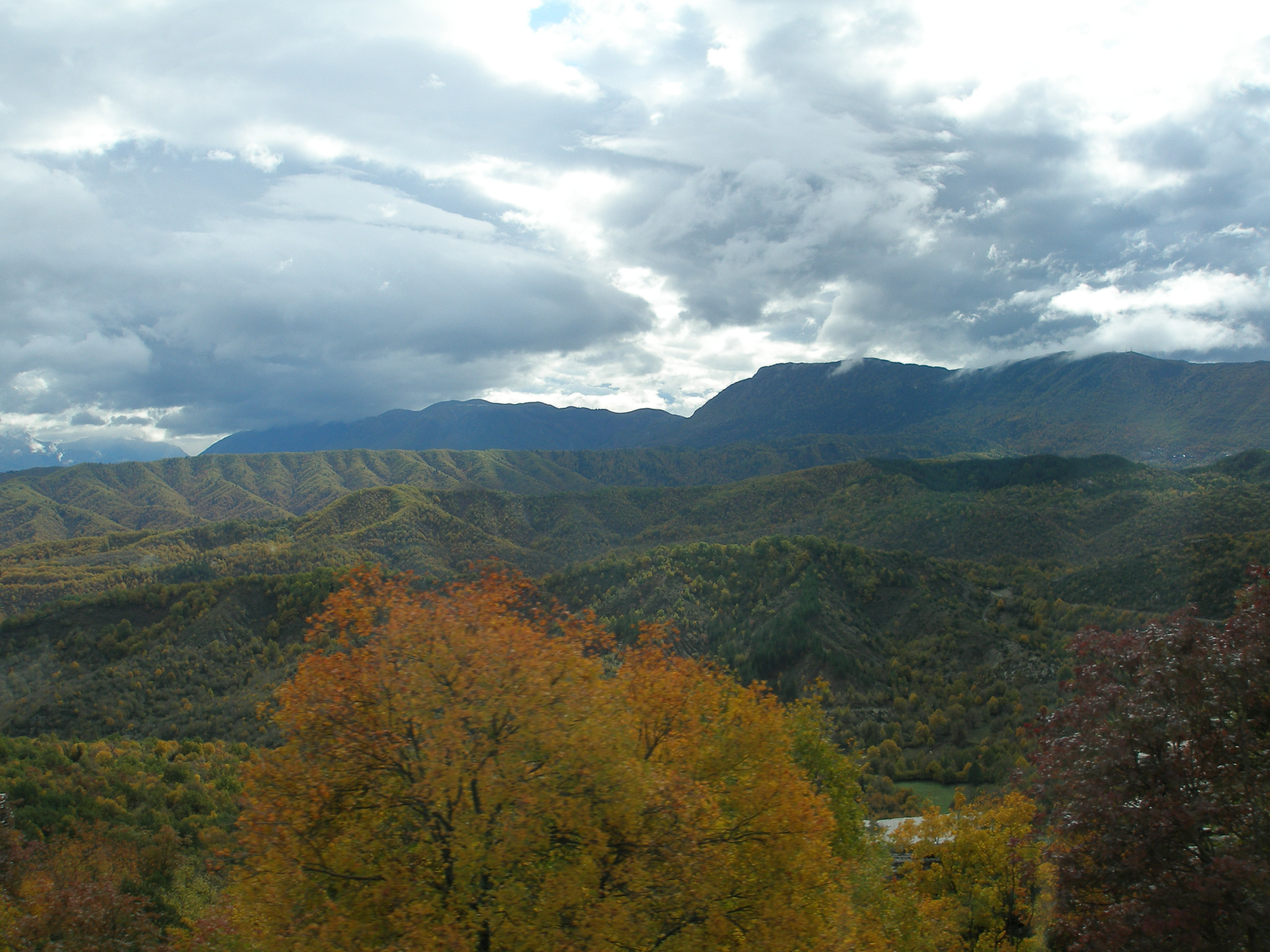 P1010442.JPG