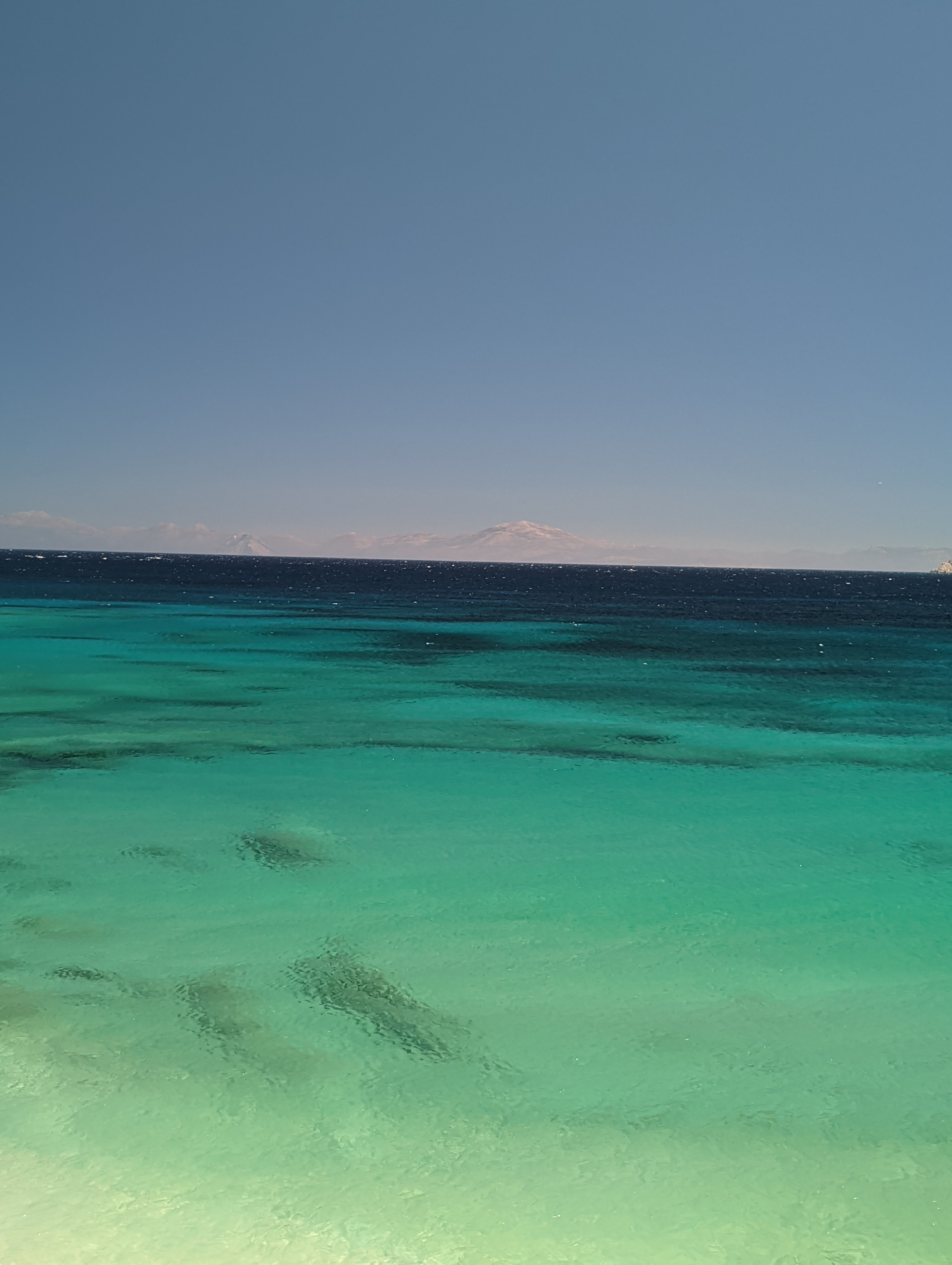 PXL_20220802_105111566.jpg