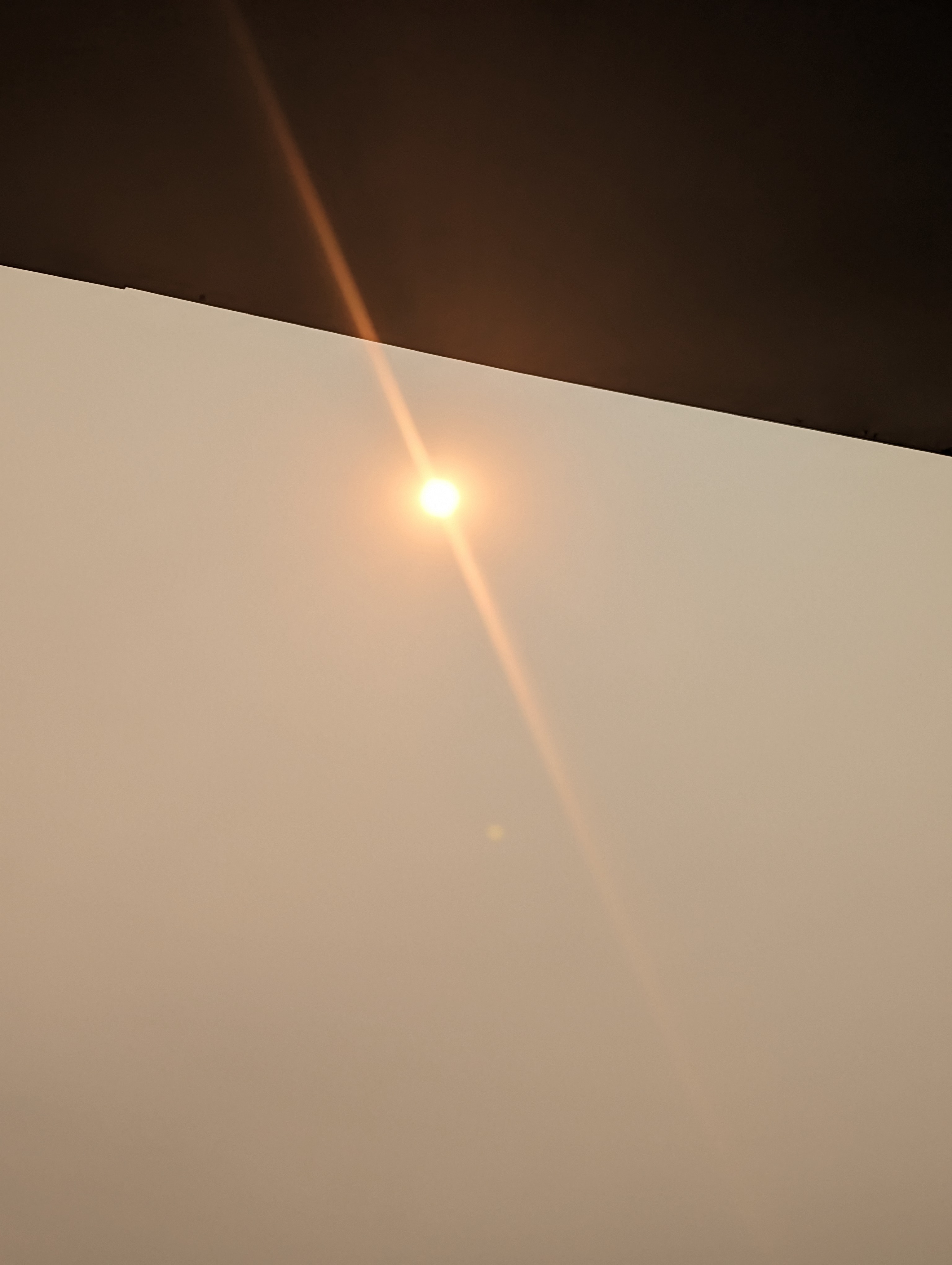 PXL_20230823_071027428.MP.jpg
