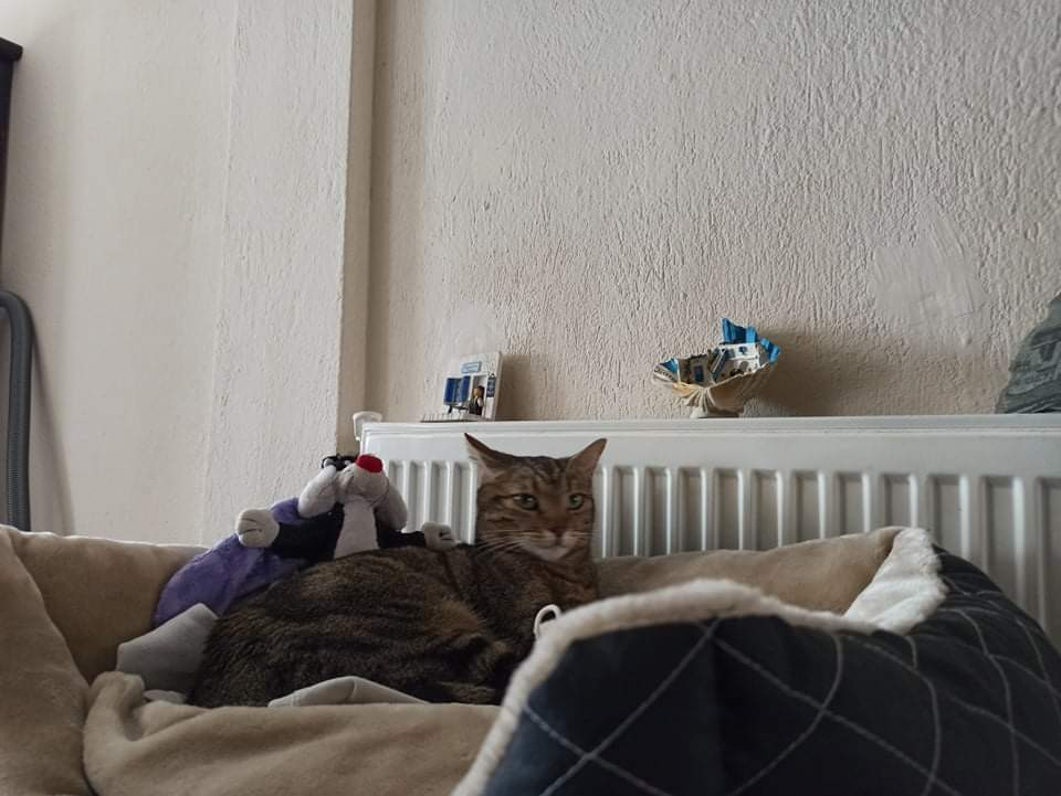 received_3185096845094917.jpeg