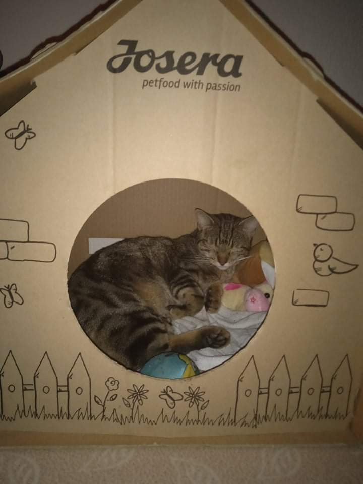 received_869587583861215.jpeg