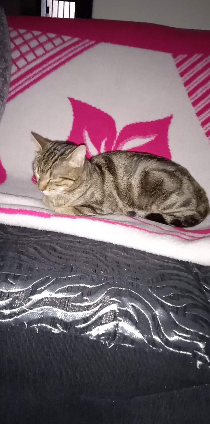 received_877084723053759.jpeg