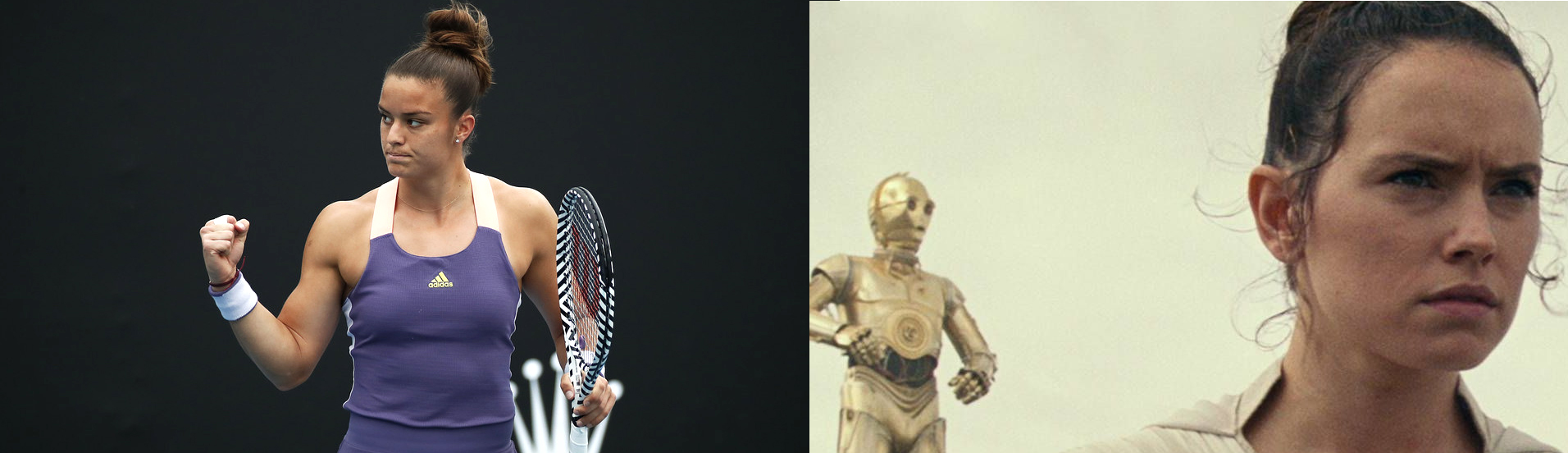 sakkari_rey.png
