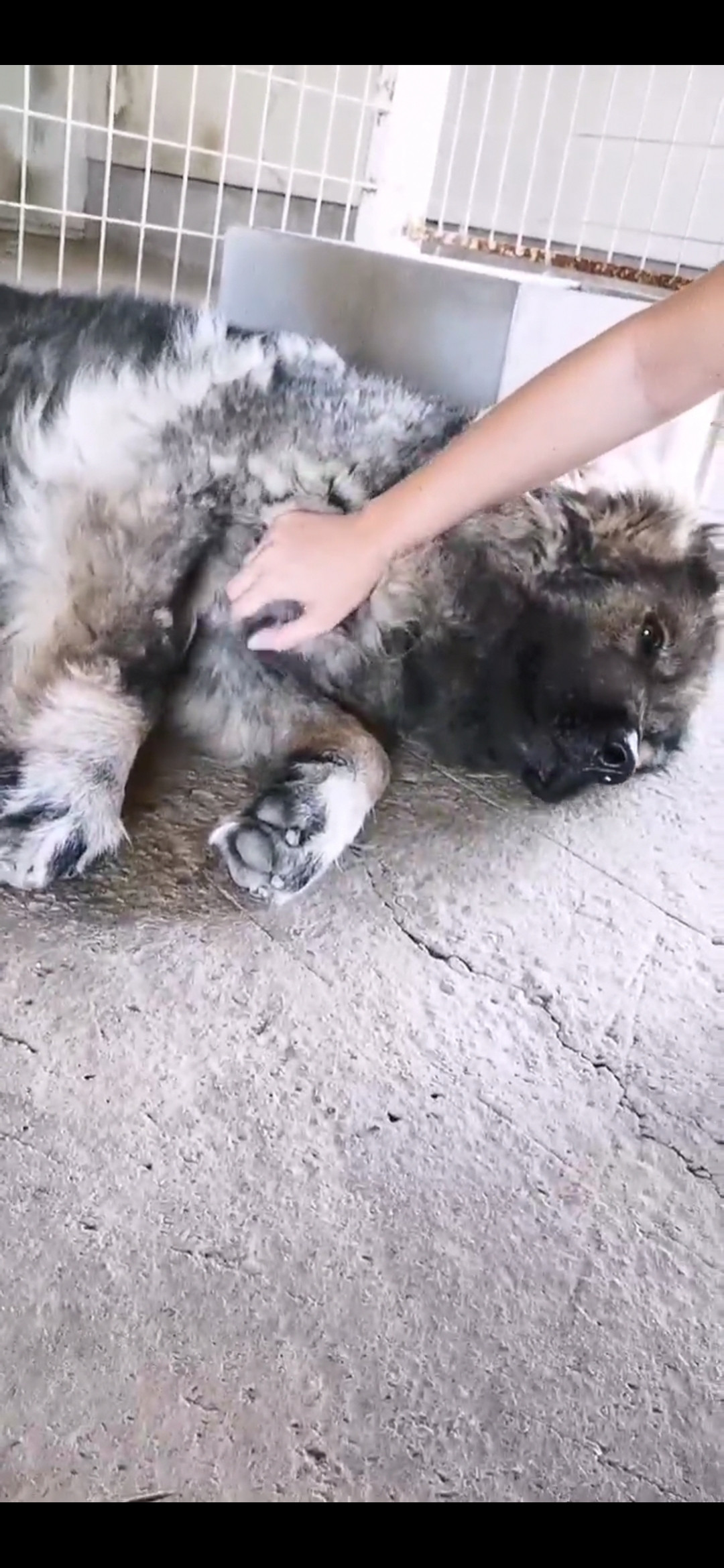 Screenshot_20201203_135548_com.huawei.himovie.overseas.jpg