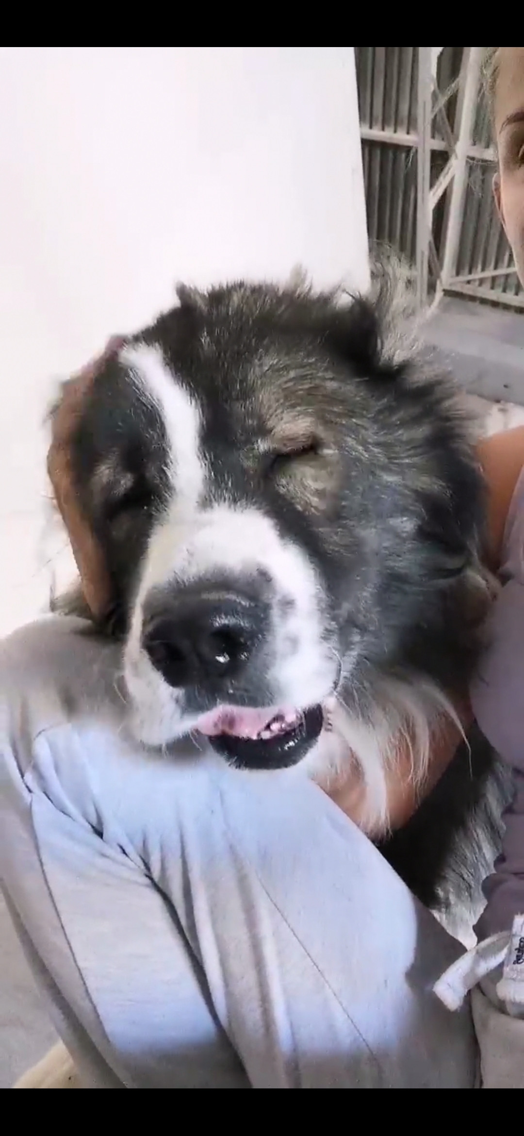 Screenshot_20201203_135555_com.huawei.himovie.overseas.jpg