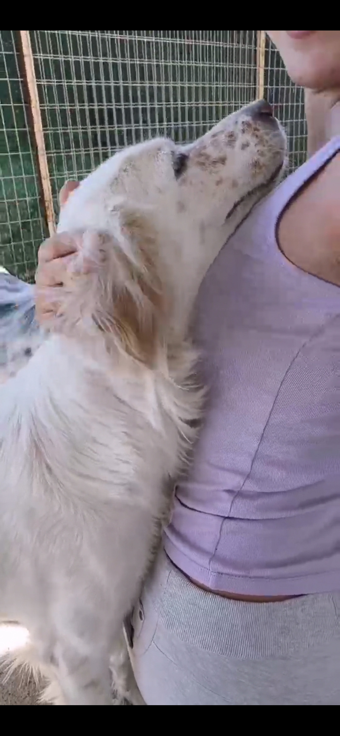 Screenshot_20201203_135621_com.huawei.himovie.overseas.jpg