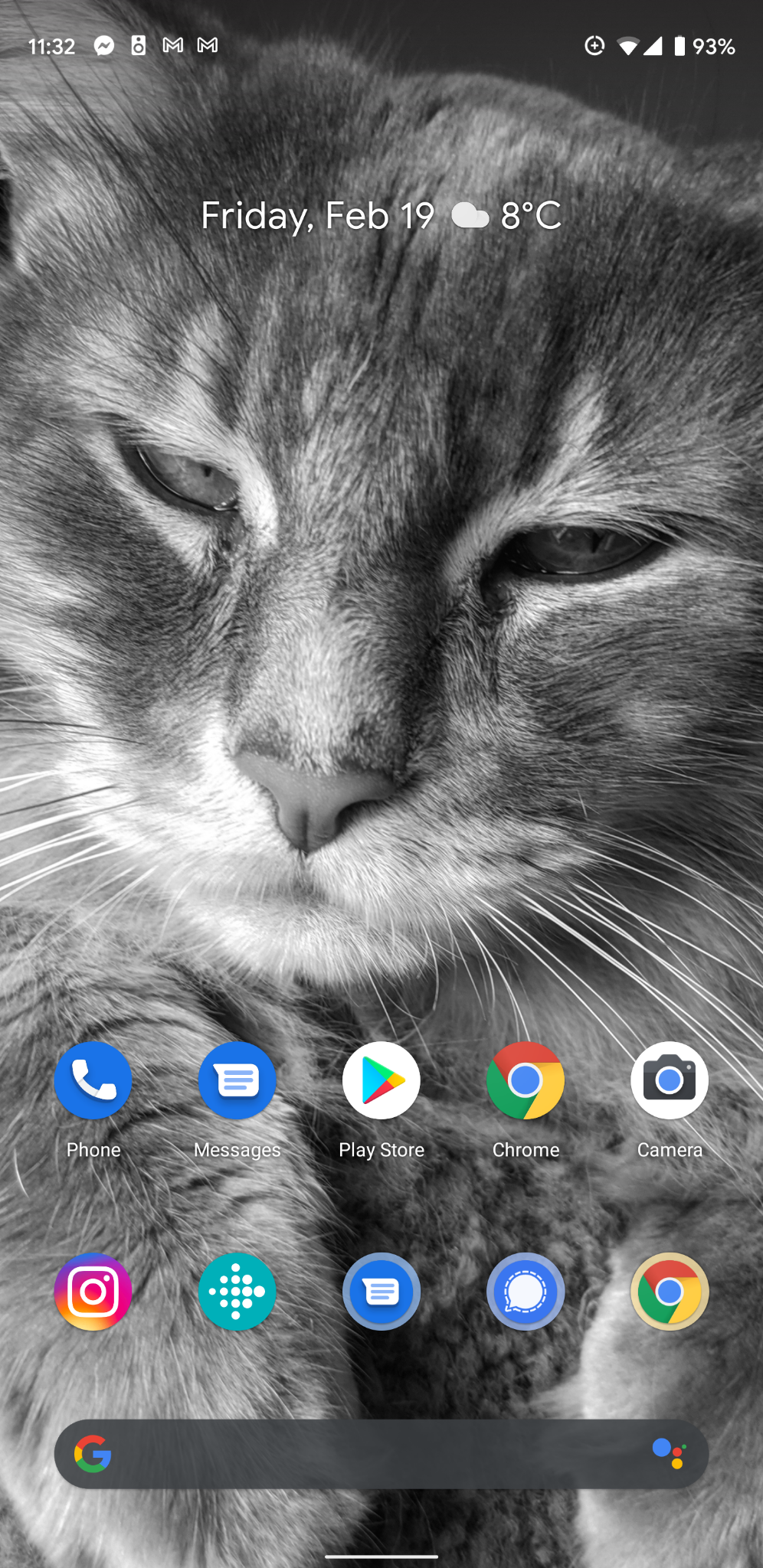Screenshot_20210219-113228.png