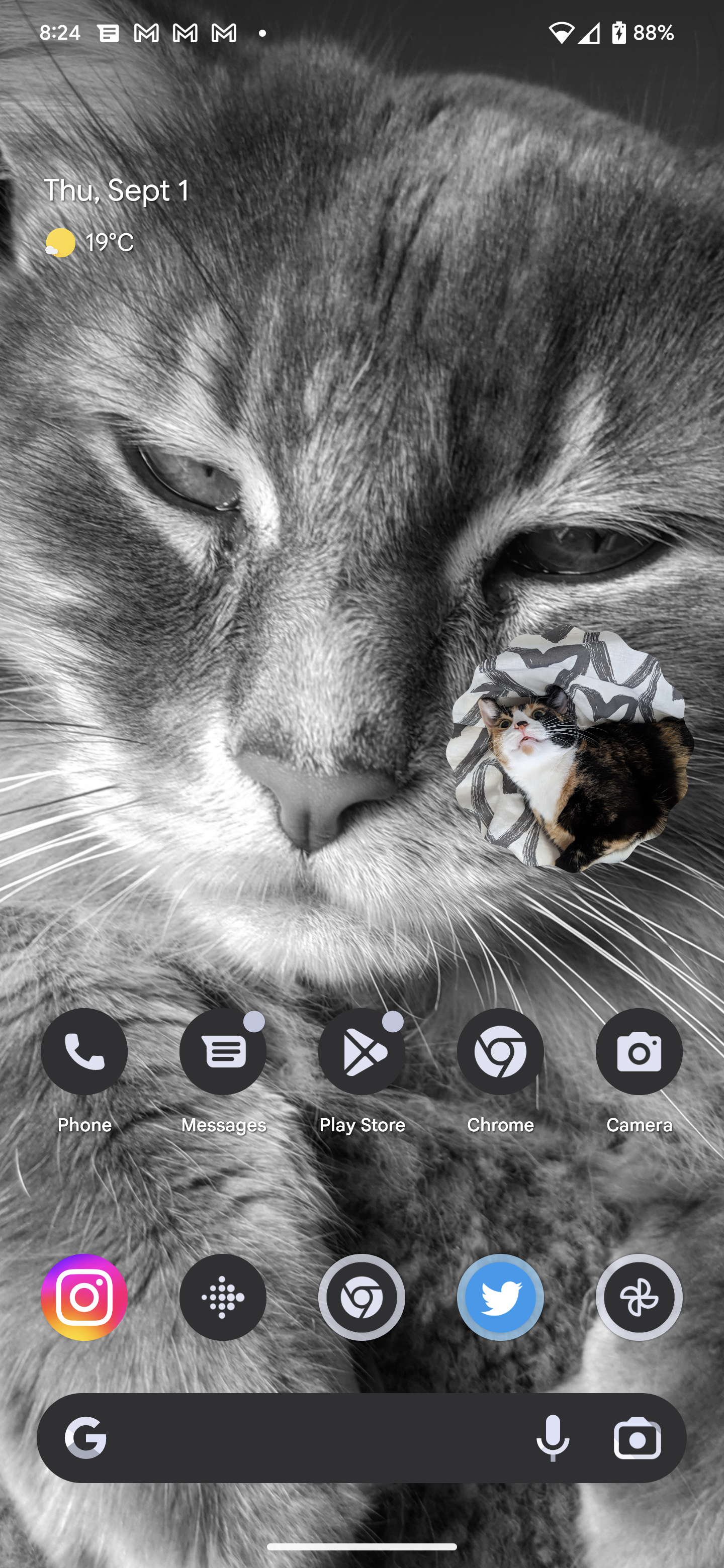 Screenshot_20220901-082426.png