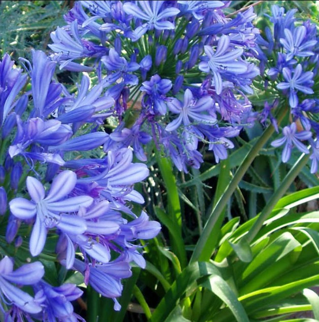 Screenshot_22.jpg
