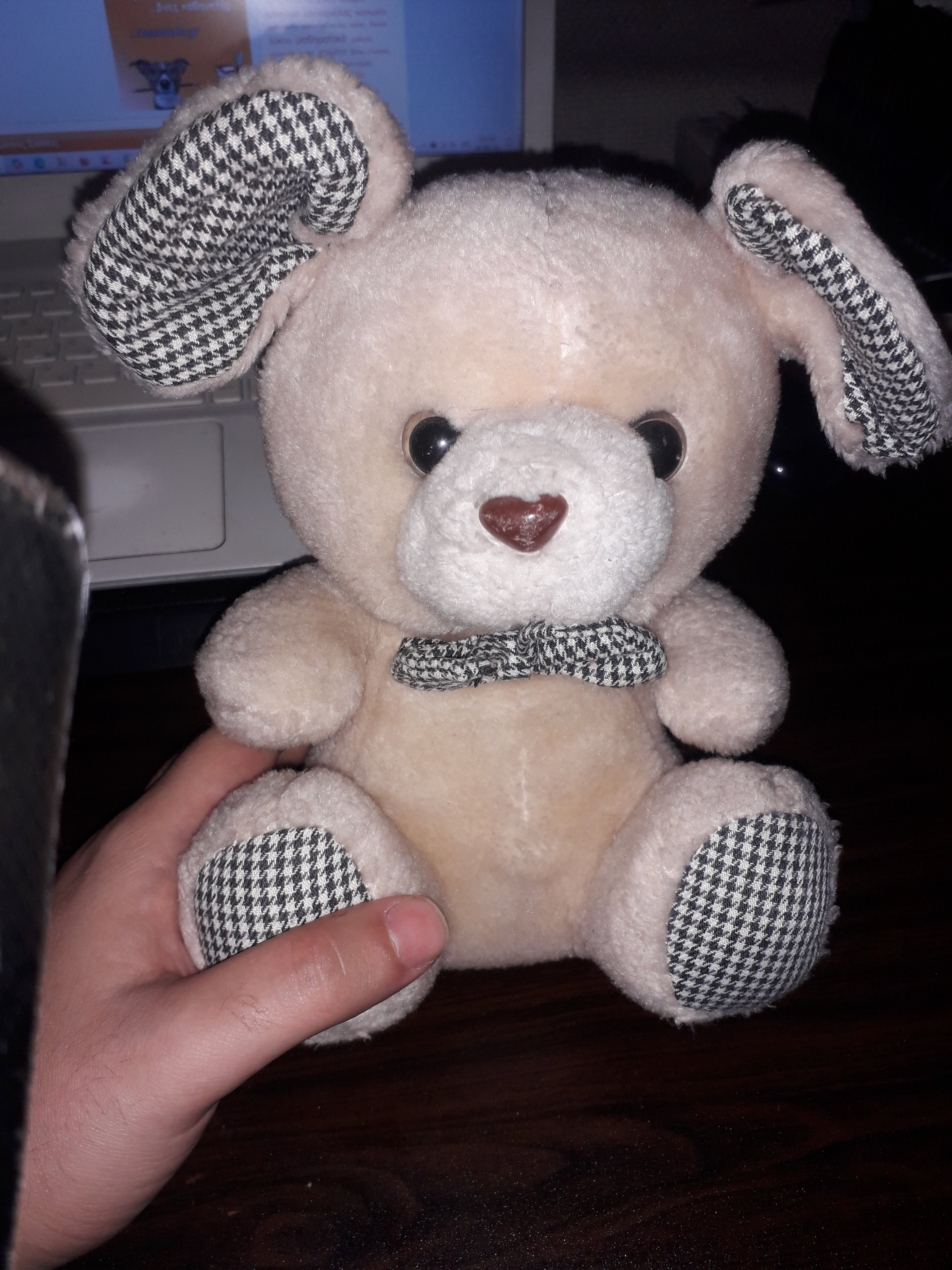 teddy-bear.jpg