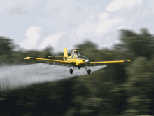 tenor.gif
