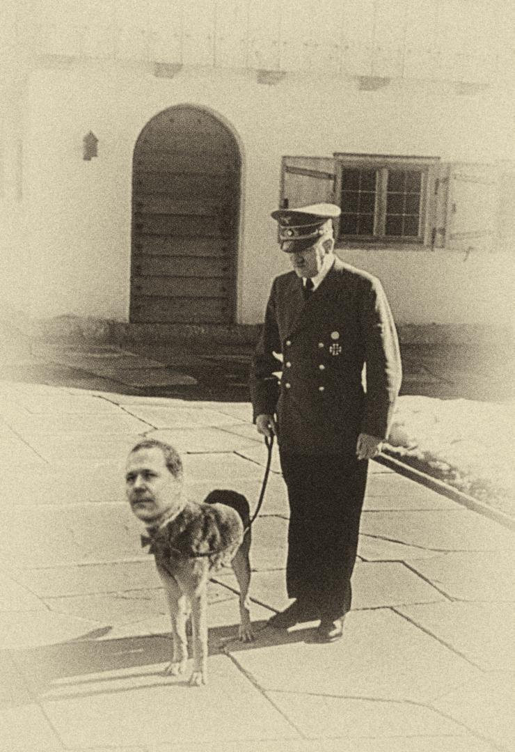 tzhmeros.jpg