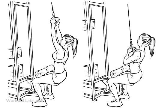 V-Bar_Triangle_Bar_Lat_Pull_Downs-1.png