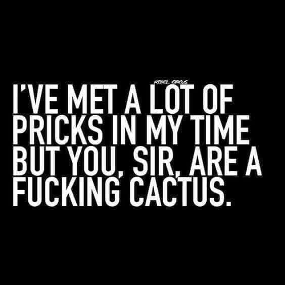 you-sir-are-a-cactus.jpeg