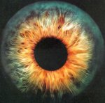 eye.jpg eye.jpg