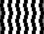 Optical Illusions.png
