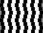 Optical Illusions.png Optical Illusions.png