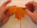 stella_alatza_1202325634.jpg stella_alatza_1202325634.jpg