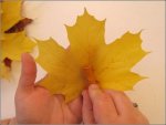 stella_alatza_1202325662.jpg stella_alatza_1202325662.jpg