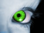 GreenEyev2.jpg