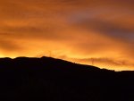 P1000912-1.jpg