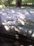 IMG_20110910_111025.jpg