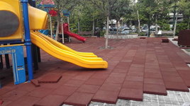1000056637.jpg