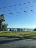 IMG_3206.jpeg