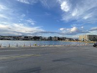 IMG_2878.jpeg