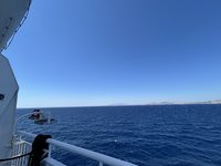 IMG_3479.jpeg