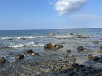 IMG_3626.jpeg