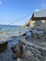 IMG_3628.jpeg