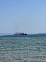 IMG_3665.jpeg