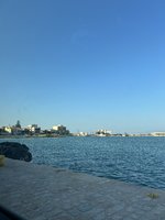 IMG_3644.jpeg