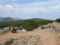 IMG_3723.jpeg