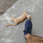 IMG_20250810_132329.jpg