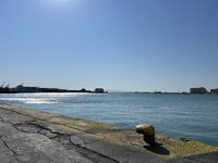 IMG_3809.jpeg