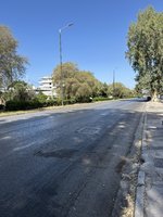 IMG_4203.jpeg