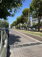IMG_4204.jpeg