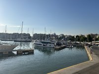 IMG_4219.jpeg