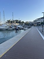IMG_4231.jpeg