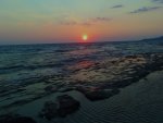 DSC_0487.jpg