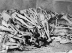 auschwitz-dead-bodies.jpg