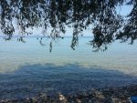 20140811_155308.jpg 20140811_155308.jpg