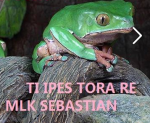 RsFNmaQ.png RsFNmaQ.png
