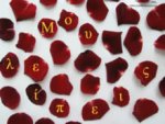 i-miss-you-in-petals-greek-1.jpg i-miss-you-in-petals-greek-1.jpg