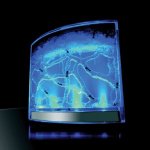 illuminated_ant_farm-300x300.jpg